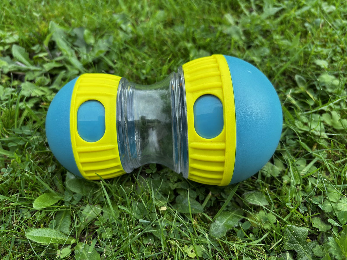 Jouet distributeur de friandises pour chien, vue d'ensemble du tumbler bleu et jaune dans l'herbe