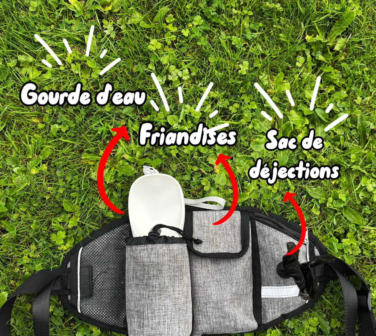 Sacoche du kit balade mains libres : emplacements pour gourde d'eau, friandises et sacs de déjections