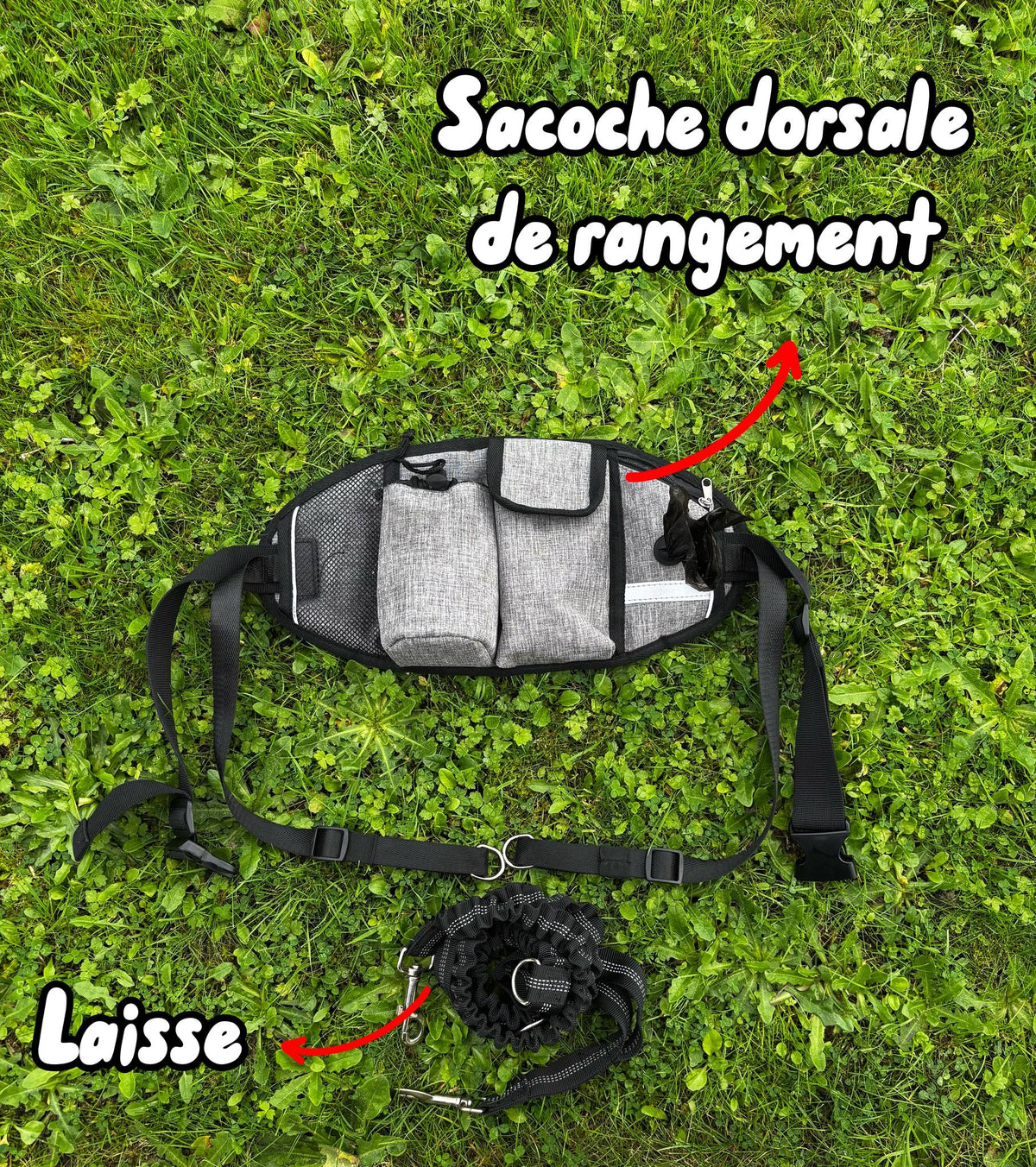 Sacoche dorsale de rangement et laisse élastique du kit balade mains libres pour chien