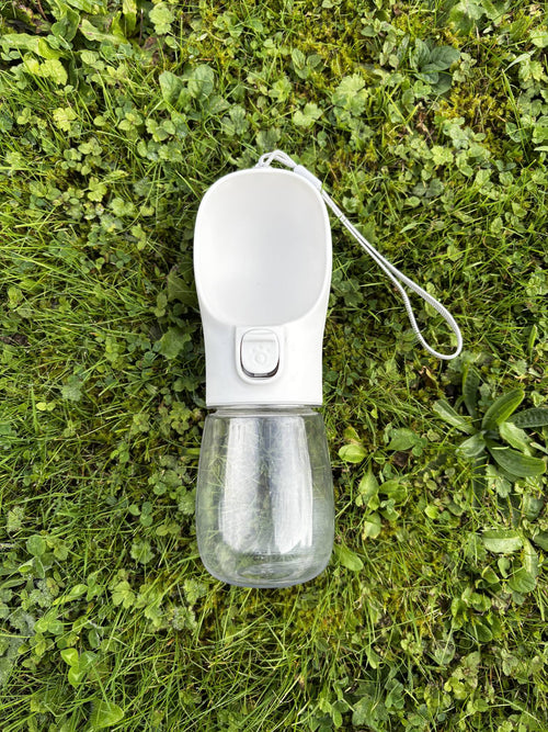 Gourde de balade pour chien 300 ml avec bol intégré, posée dans l'herbe