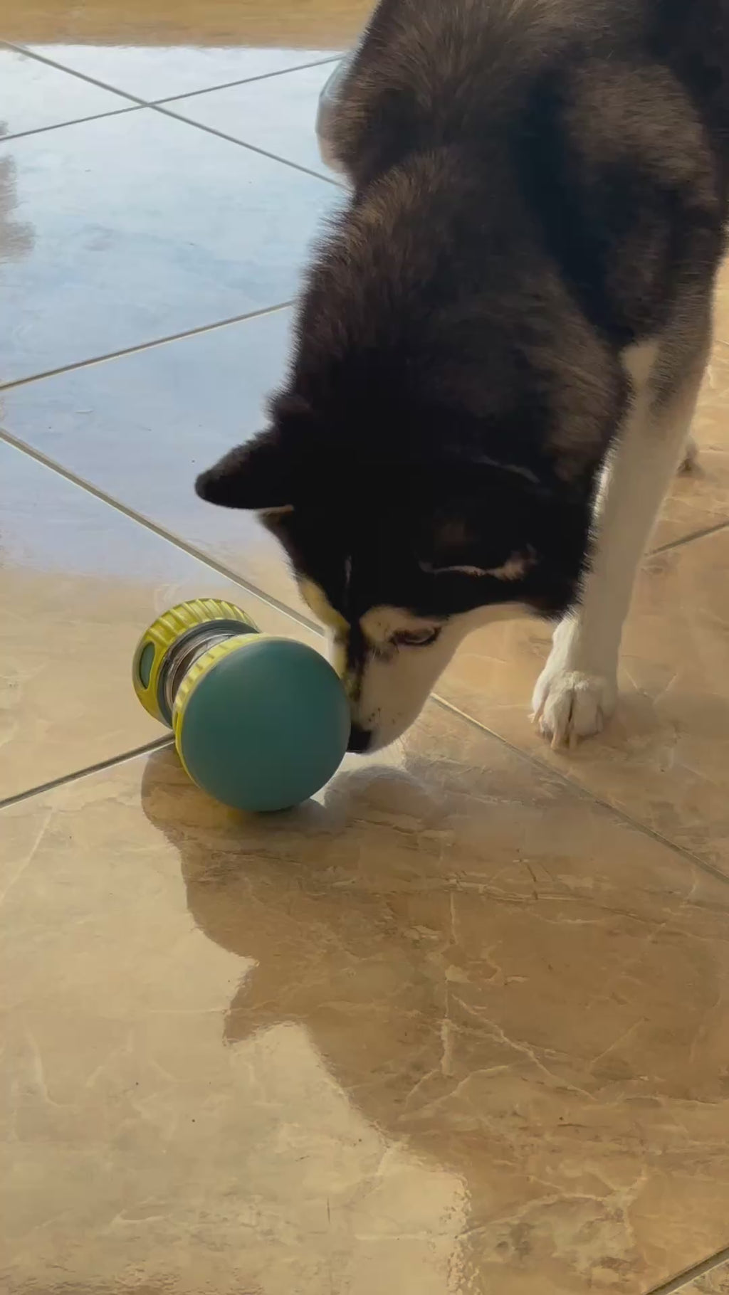 Treat-dispensing toy
