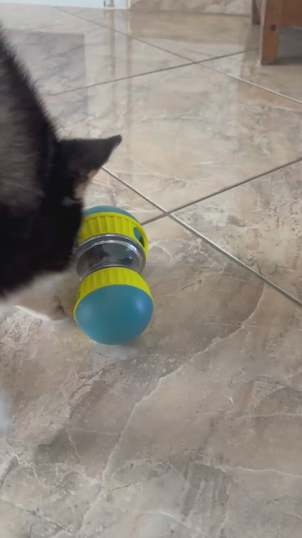 Treat-dispensing toy
