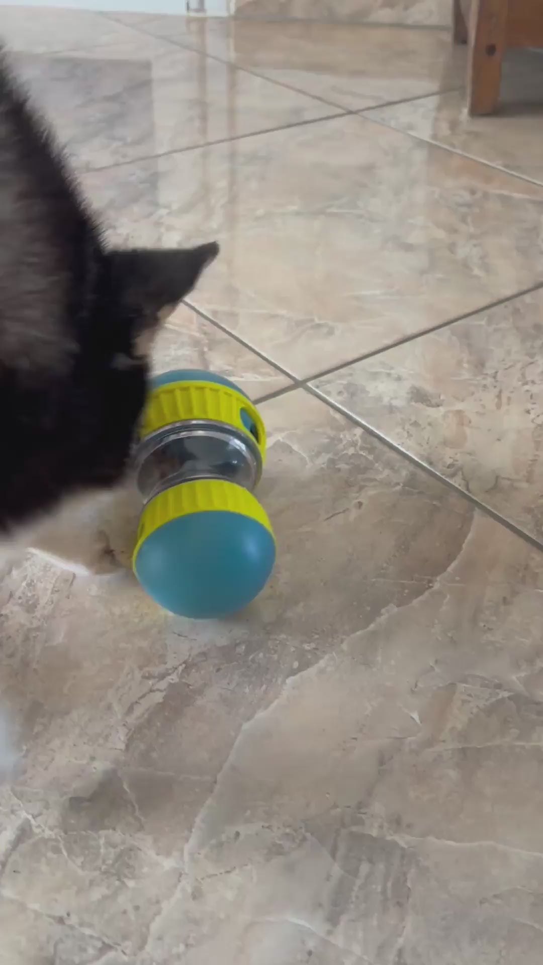 Treat-dispensing toy
